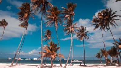 RepDominicana