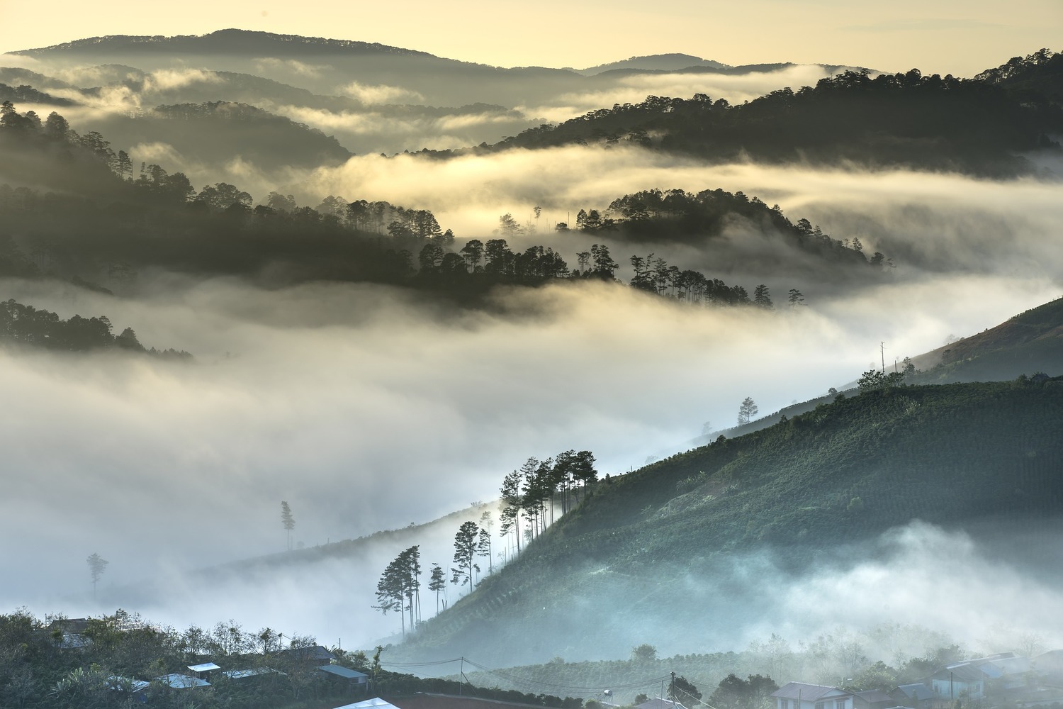 Seguro de viaje a Vietnam